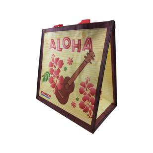 PP non-woven bag with triangle sides
